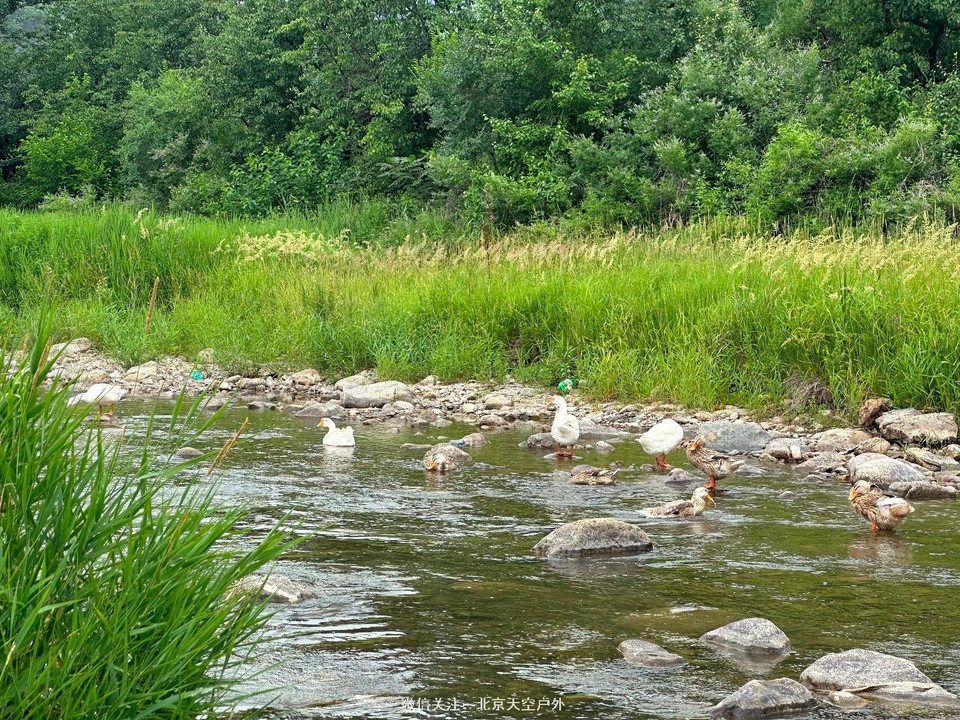 D43A5CD2-7B10-4FEB-BDDA-111B3E54F8C2