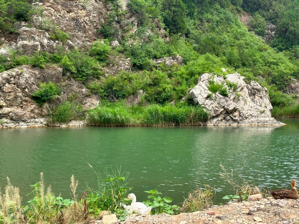 6AAB1B1F-8295-4EE2-A09B-610FC6872997