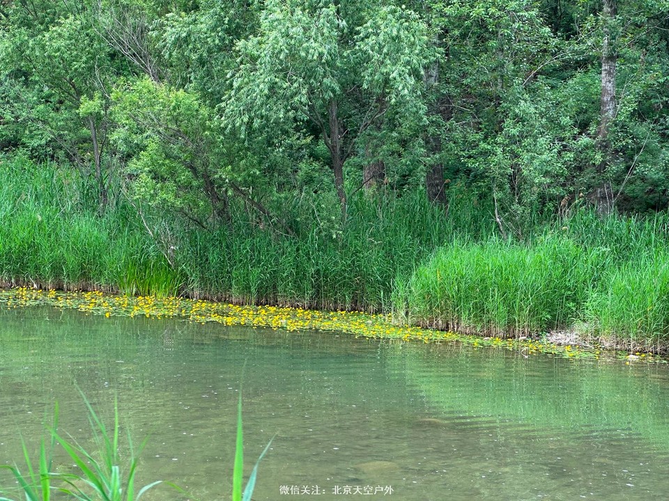 79A7A213-F858-4D29-92B0-9A62A9963BC3