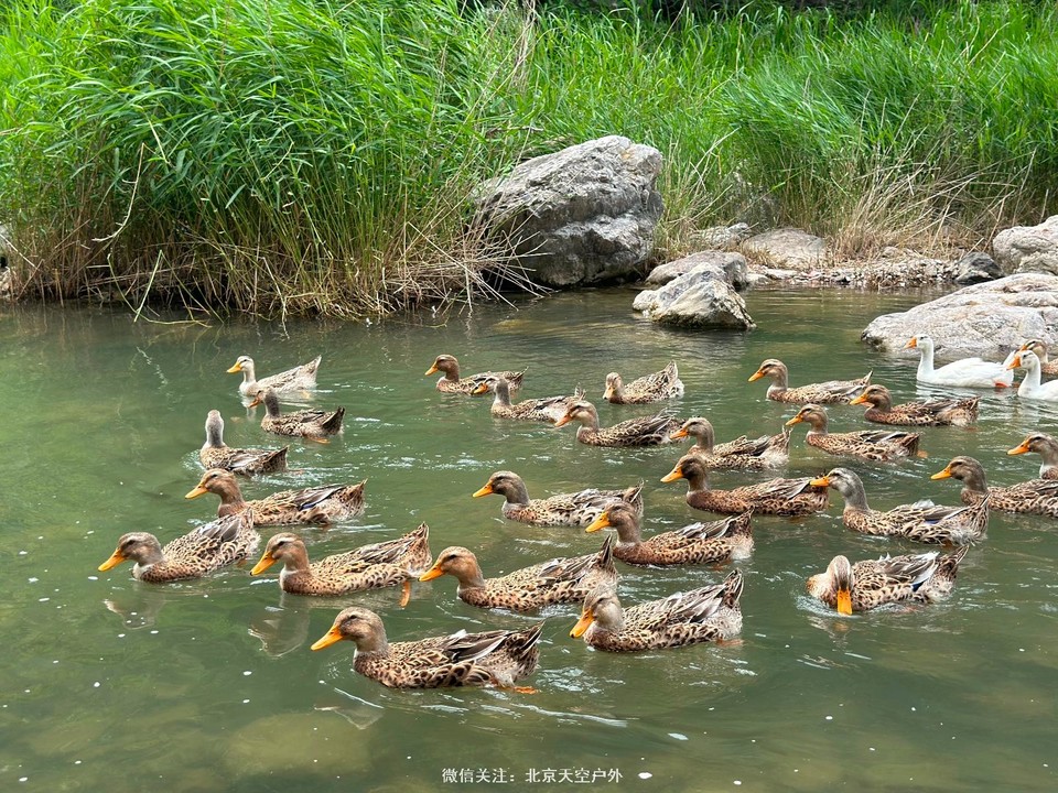 79DD4273-5671-488F-995D-1EBE3F506285