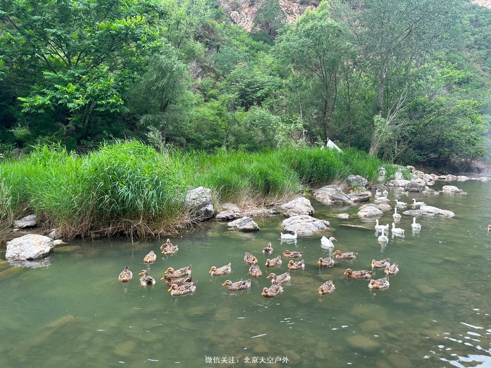 E6A3D287-FC67-4D97-9D0F-595E655EBE4B