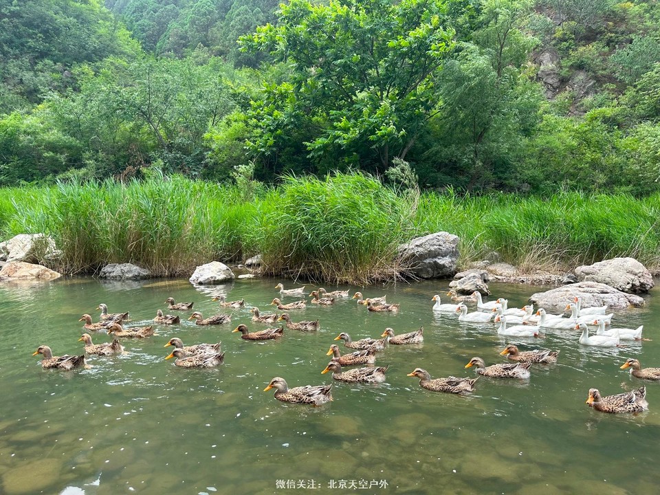 7D988331-C38E-4022-A67D-B7045650F84E