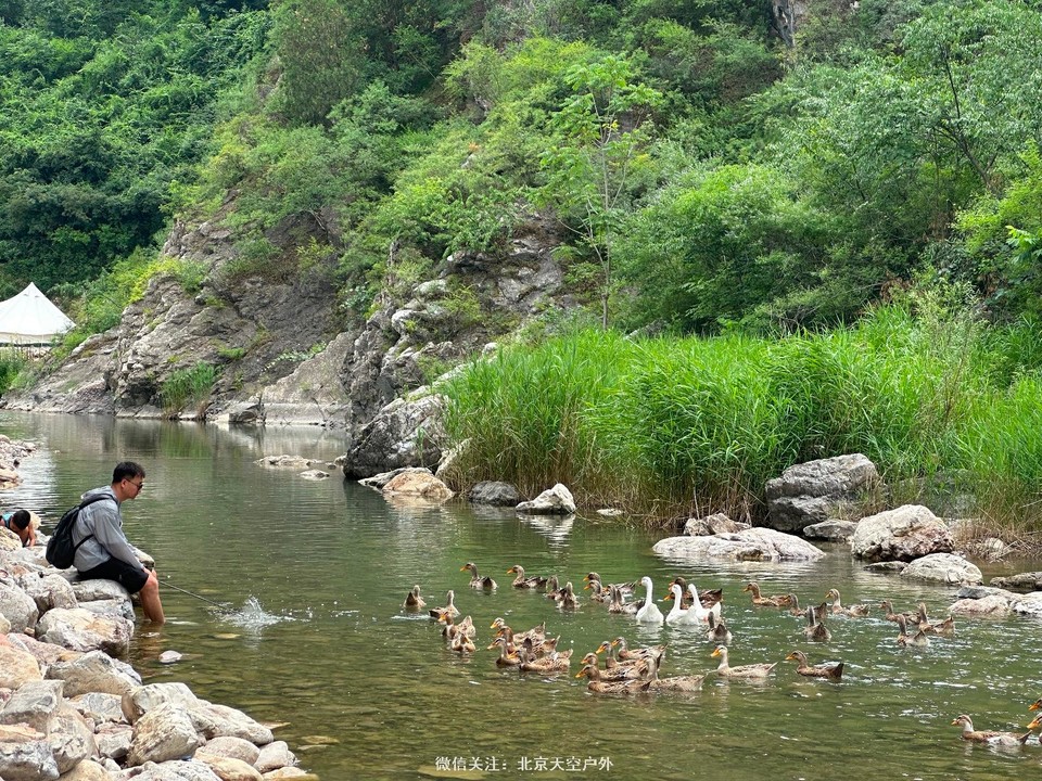 CFAC154A-CEE4-4076-90B3-626DDBEBA93E