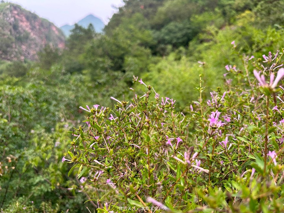 AA9E2B8B-11CF-4185-B39A-55330E9D9648