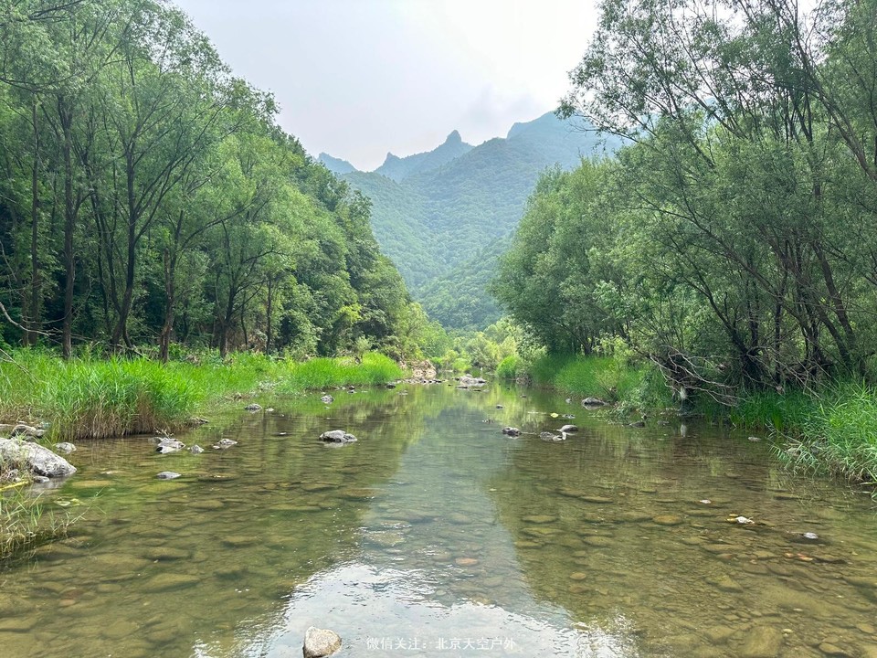 A7616233-EF22-413F-9921-55C140B15B1E