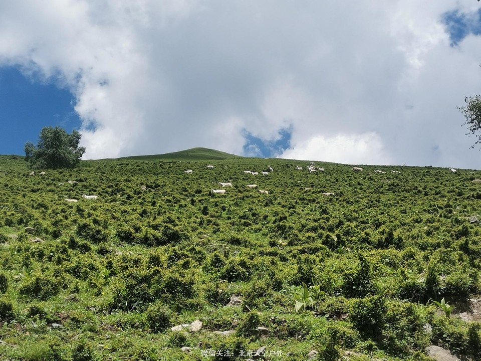 D61A6328-CBD6-4C6F-9B94-C35D04D64697