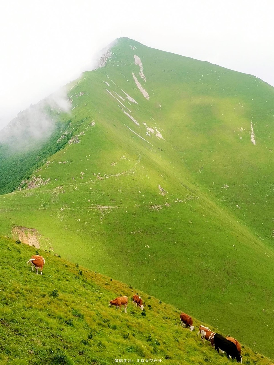 92B7884C-52C8-430F-ADBE-EFC0C37F6B60