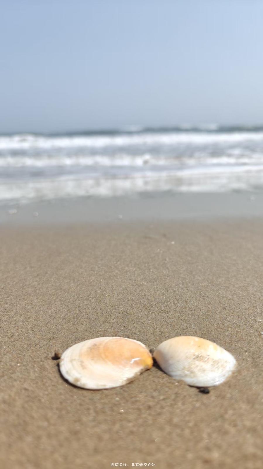 61174AB0-6ECB-406C-9F20-75CA9E58C57E