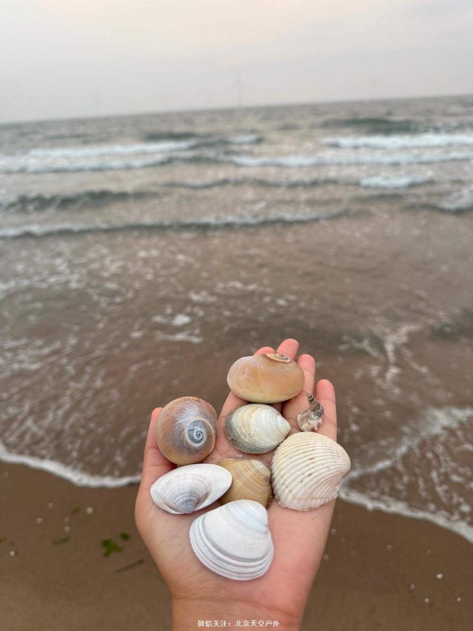 73350DEC-9F58-4C64-B46F-0A587C40ABAC