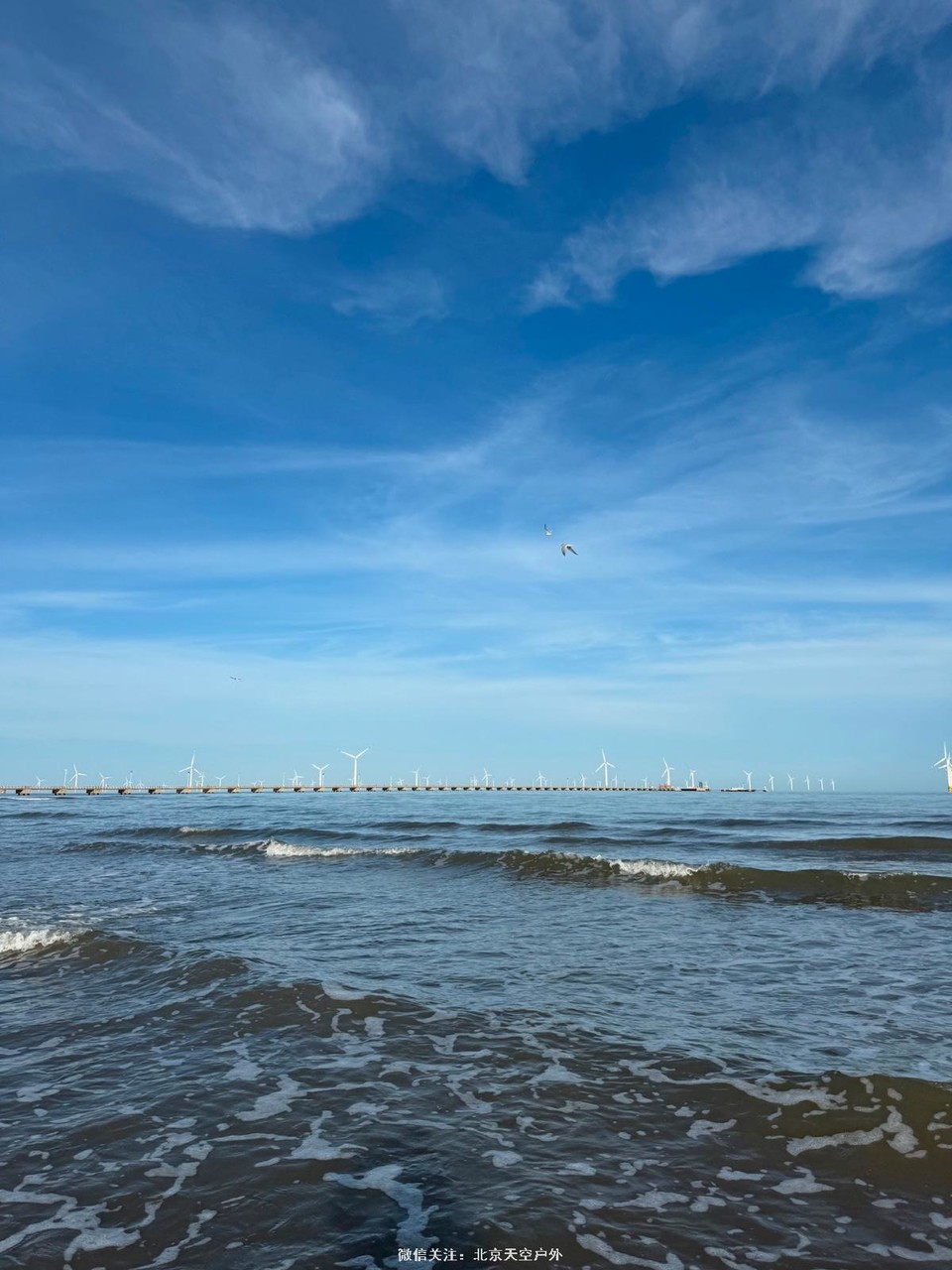 A6279537-6CA2-44C1-9B7F-722C96CB61FF