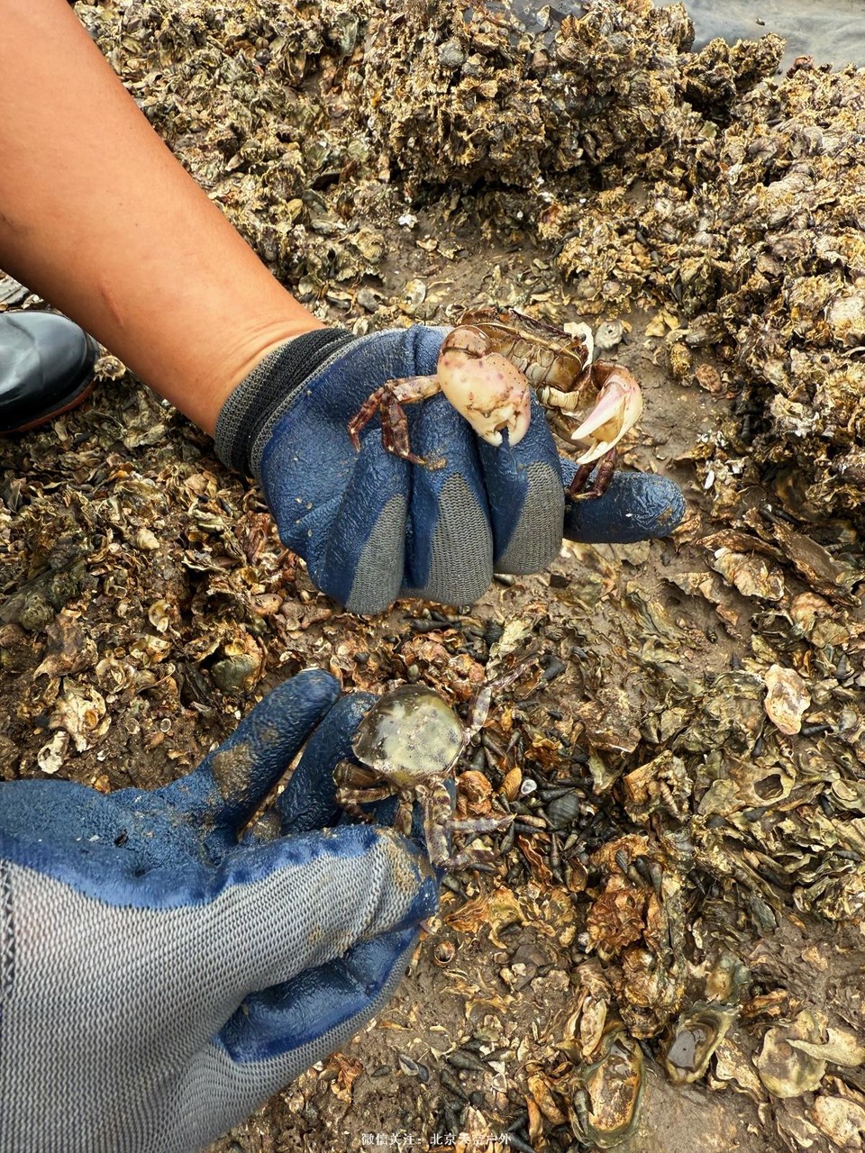 F4877965-61F9-44C8-ADC1-6212D34CBA0C