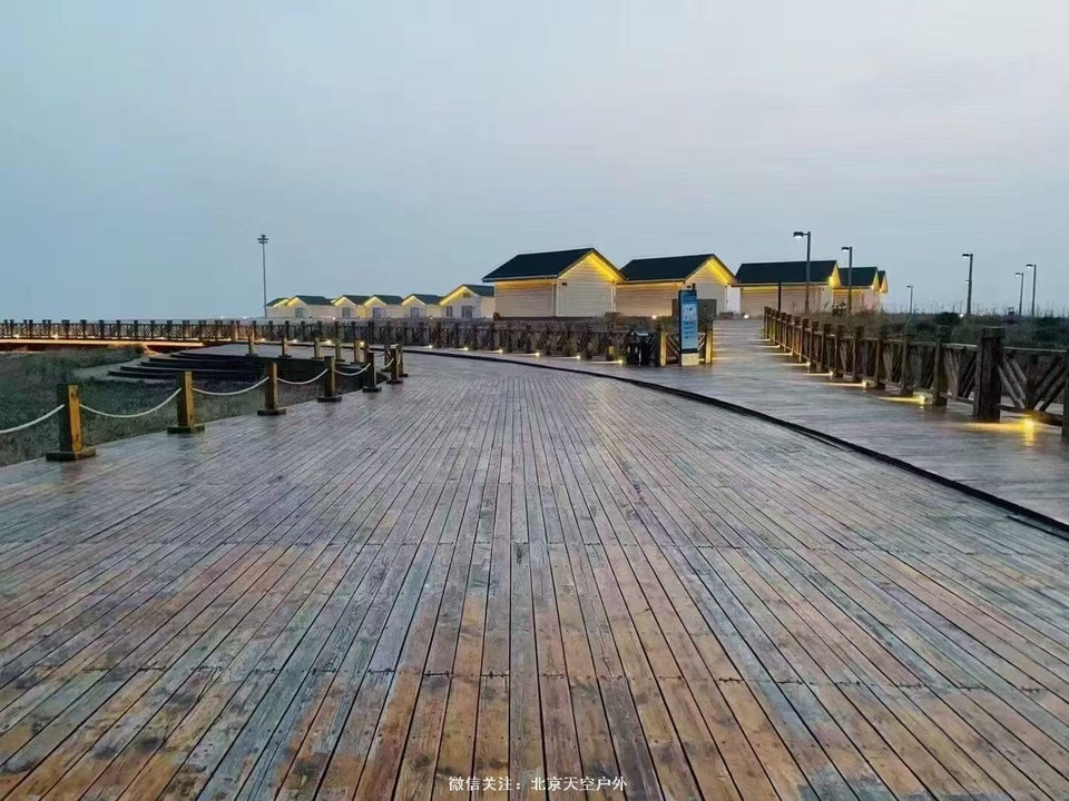 C1E8D770-629E-4860-AB5D-212A982B8656