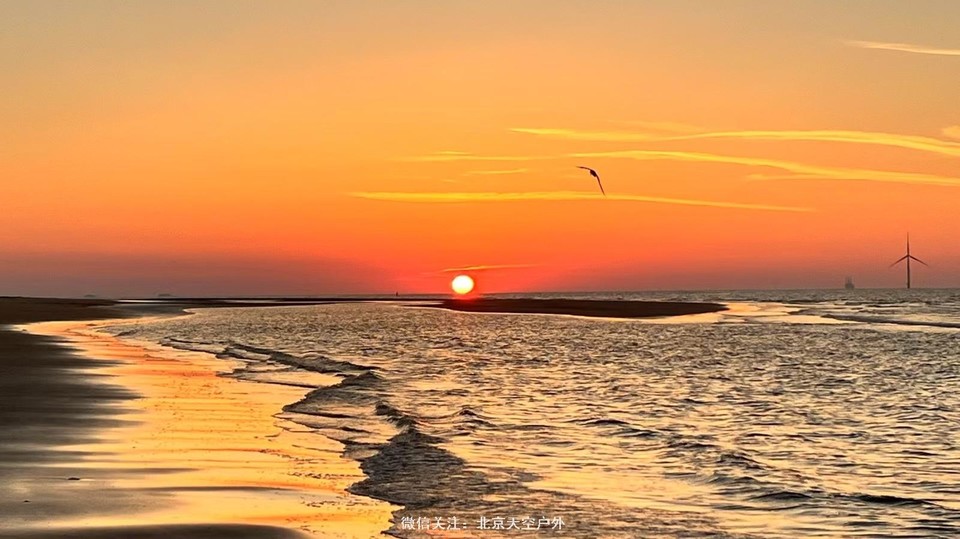 85697E4B-2654-4FDE-9BFF-A6BA23DA09A0