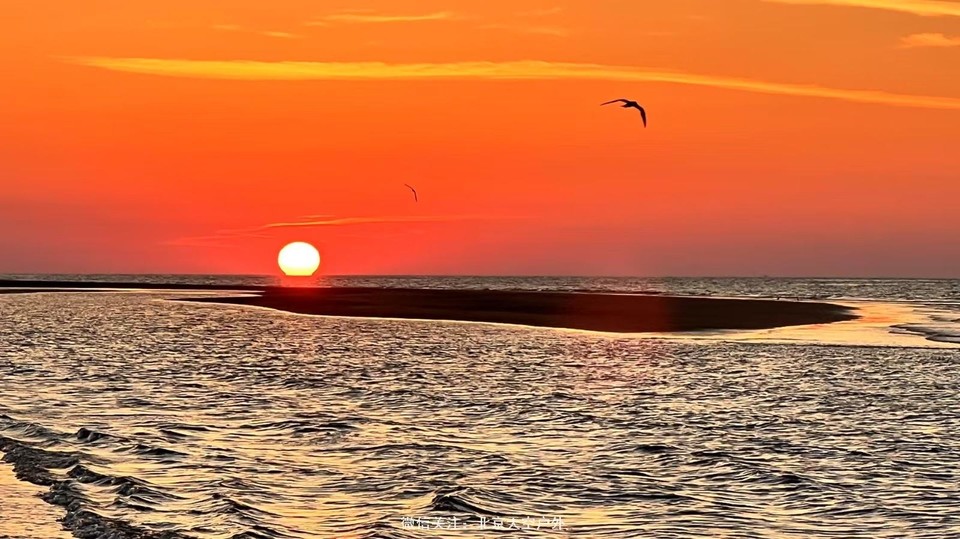 1DFEDE93-B2E9-4A30-A645-E38D52B63DC2