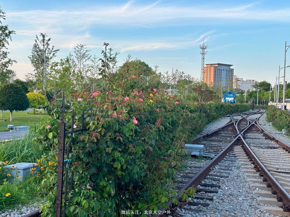 CE1862C0-0D6B-4F86-95A8-13DA7379BE16