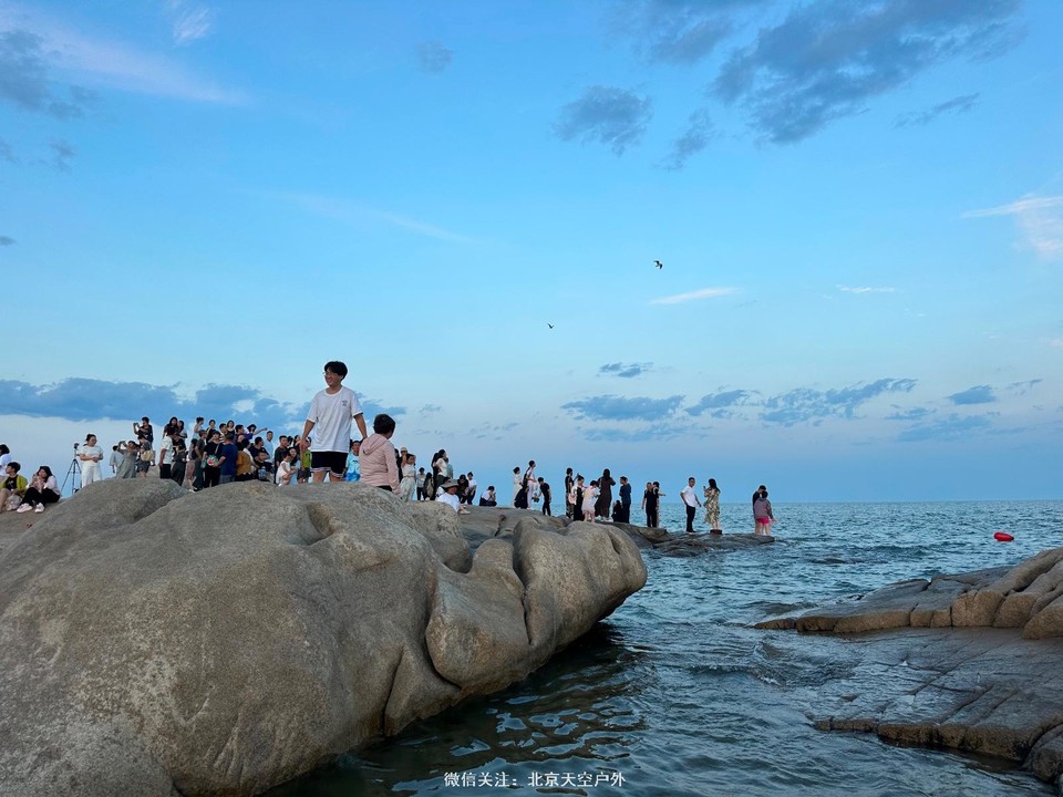 3838D252-4D46-4658-8793-B6E2B53DA0C6