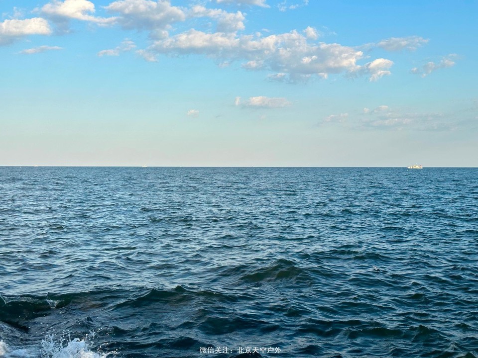 A3D901D3-4DBE-4D5D-A718-205ACC6C1B52