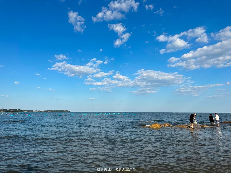 63F029E2-89B7-423A-968F-F1FB01B3A051