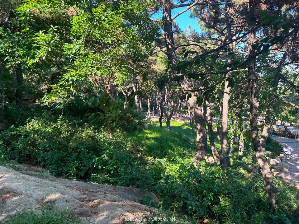 DB343F24-92E3-4333-A187-BE73CF675FA0