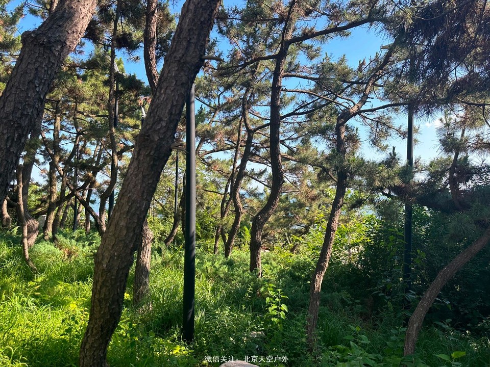 25558594-0B17-4926-89DB-7C733C159455