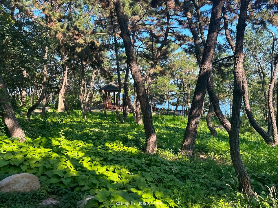 1A931AC0-CB03-40DE-886E-A472ACE2EA0B