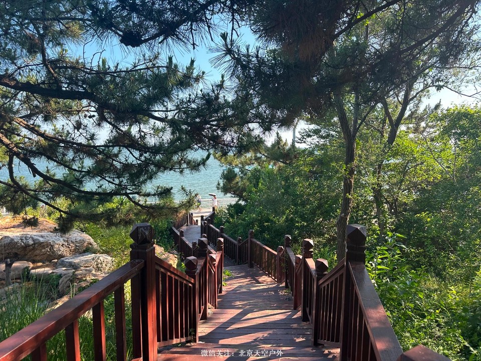 79908FEF-825F-458B-B2F2-1B8BA300809B