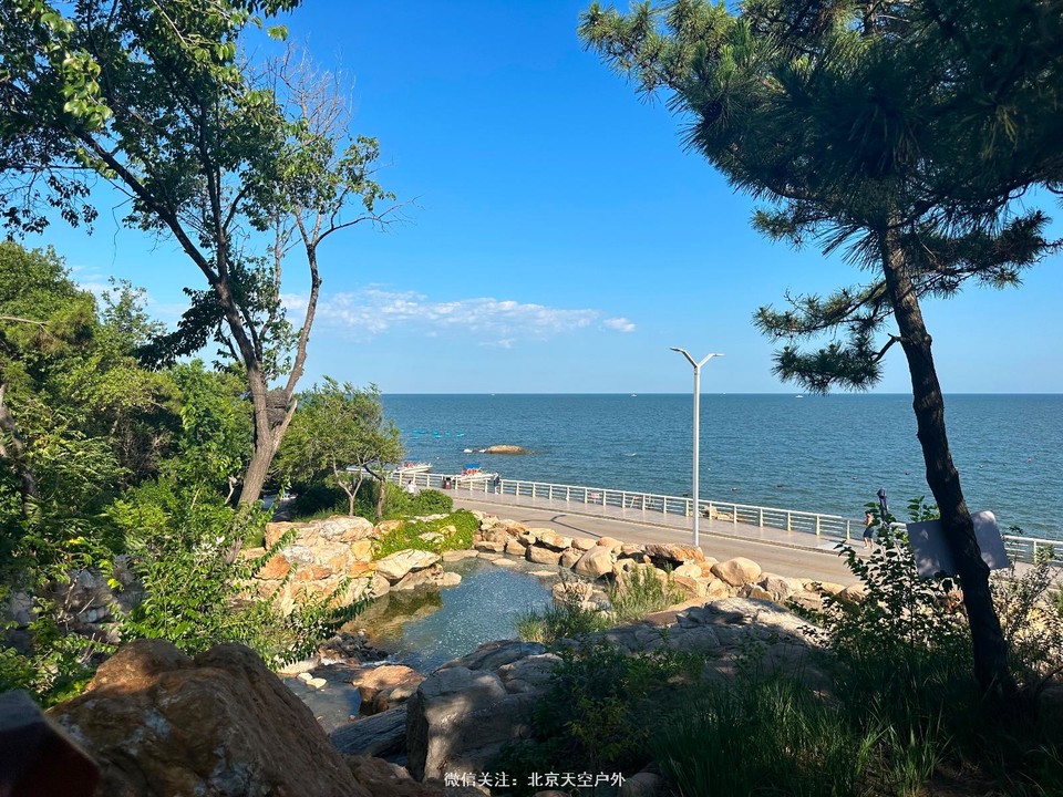 254279C0-8675-4168-BE59-166B25566557