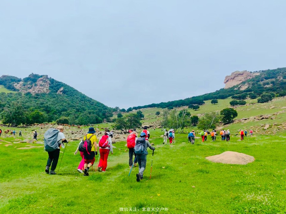 E1651DD2-4477-4023-AEB8-3757DA2F37A1