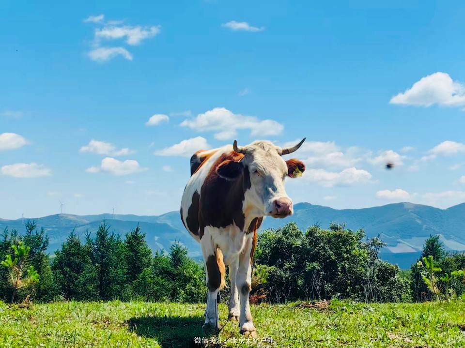 D357B33B-F5DB-4546-996A-BBF79AEEA758