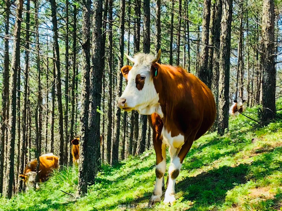 2C5E812C-C52B-42F9-BFB0-6A47F9613C95