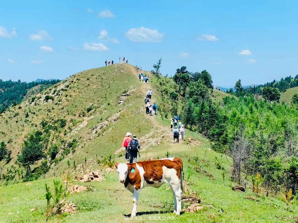 26AB164F-4CD9-42D3-A9BA-758A7DFB1966