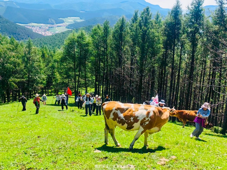 BB7B7301-AB73-4678-AD4E-1DF3CB647FE6