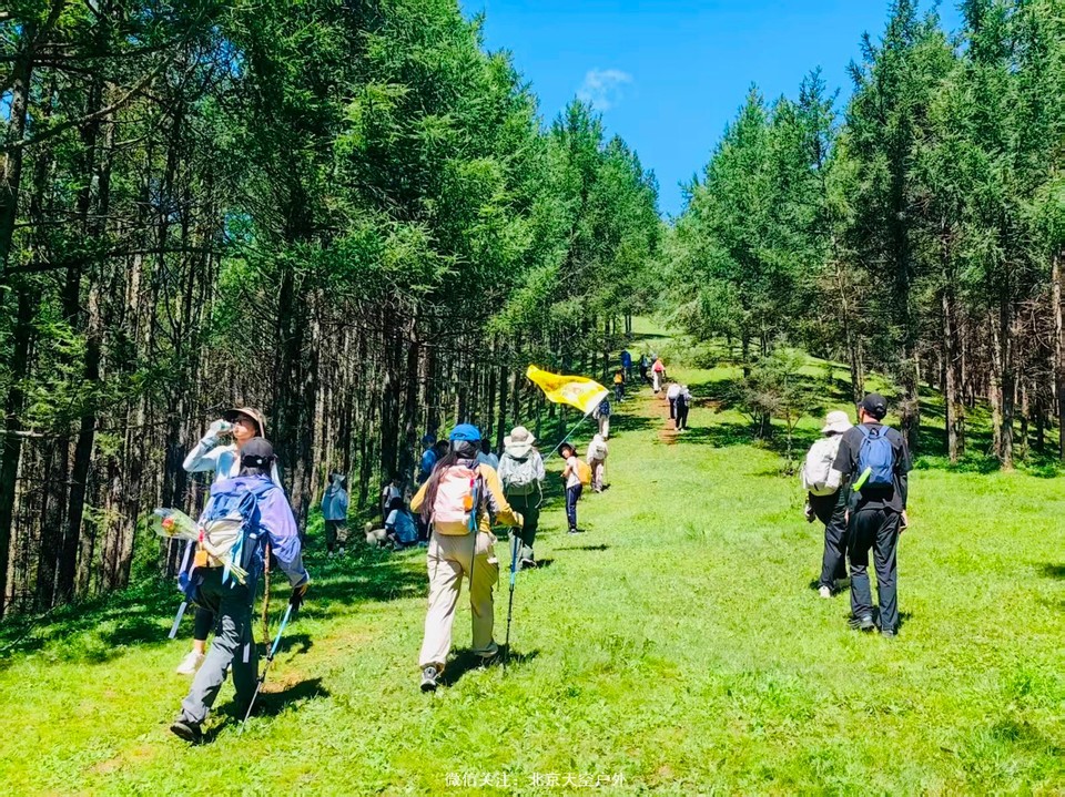 0CE6D806-FA15-4341-8E48-F15F4EC9D2DF