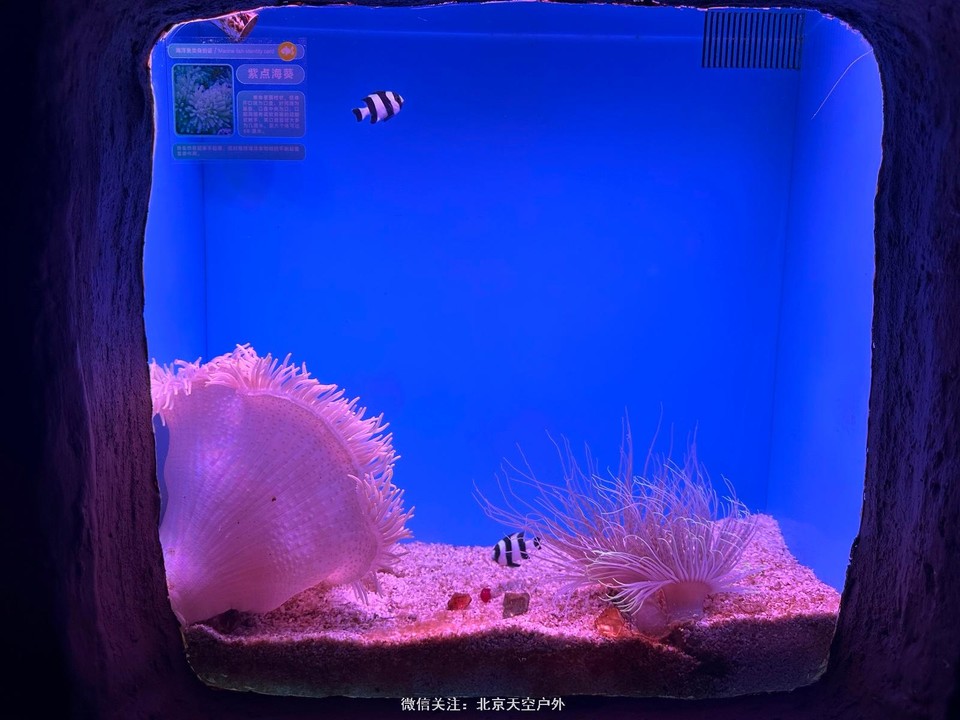 3E4CE7F5-F779-4A0A-9C82-76D97D66B03C