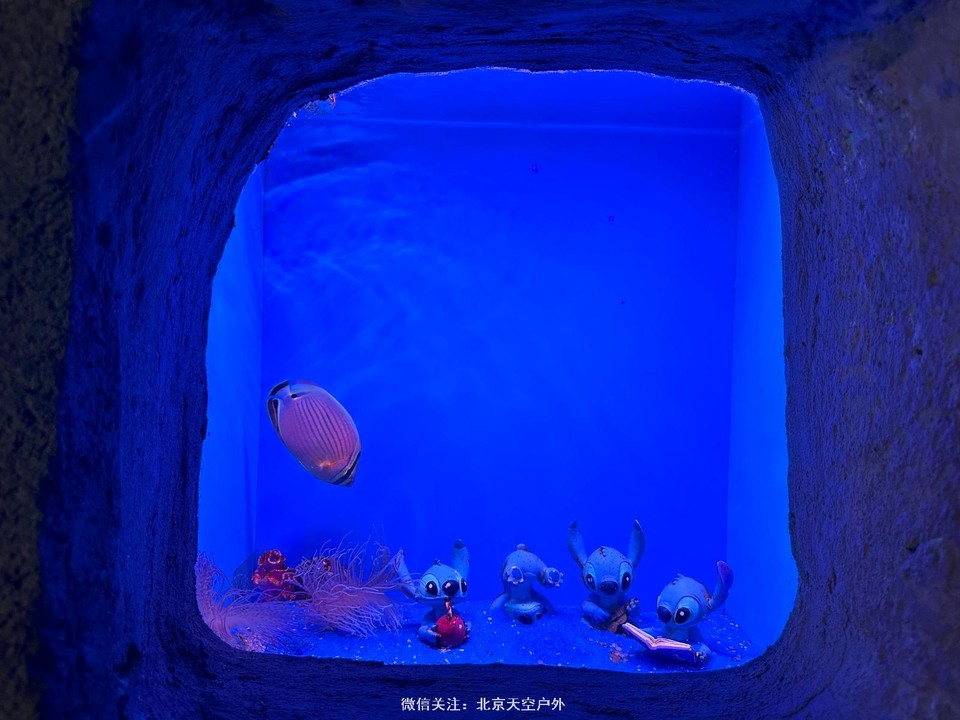 C061DD8A-8BD3-4998-BCF9-6DB8332776CA