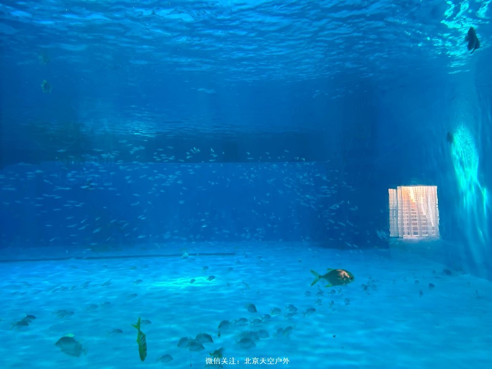 55A717C9-8570-4559-8A0E-D2E65A56C277