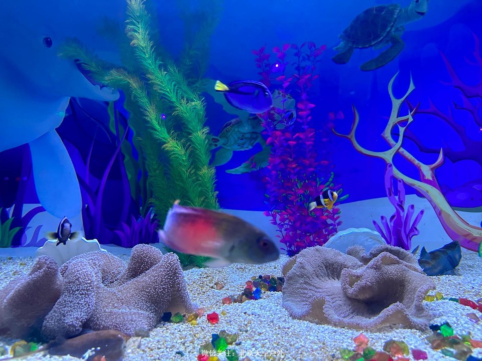 47571977-7117-44A0-BD8D-6C7CBF85D574