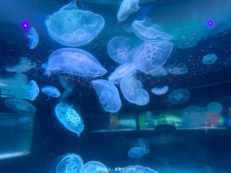 40ED916F-1658-4337-A27C-8276BD585C55