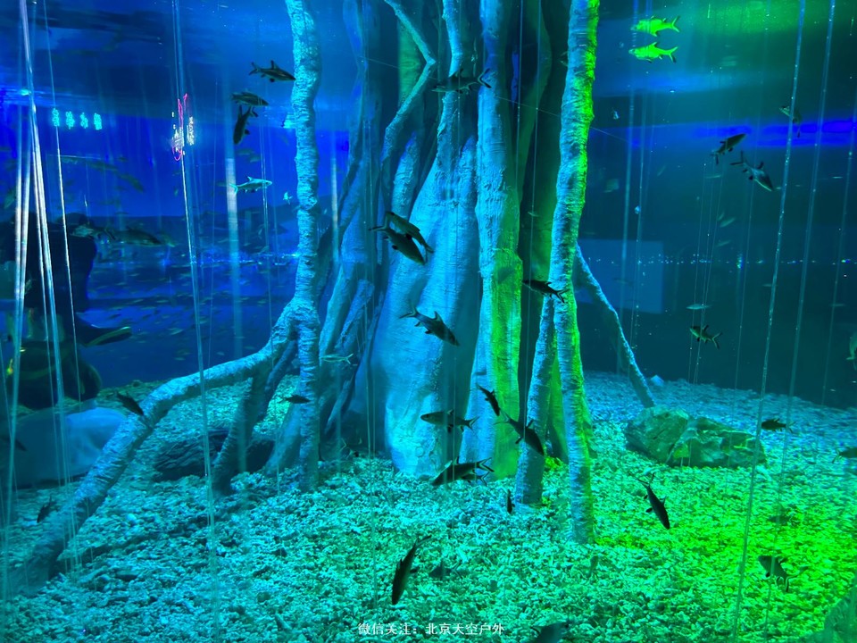 65C872CA-FF05-4010-8D45-6F3C3E7481FA