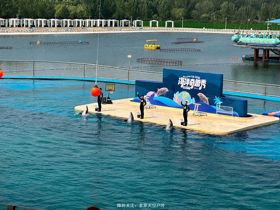 1C823884-8E27-4F75-BDD4-9526D4C39D36