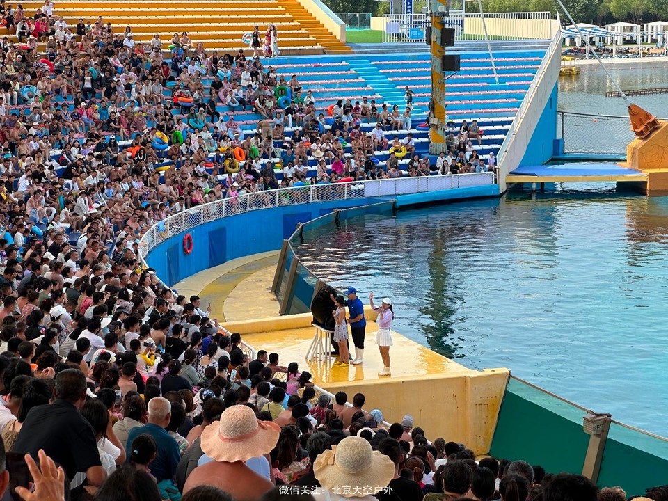 0A95A8A4-9EDD-4DE9-96E7-0474DEFB94CE