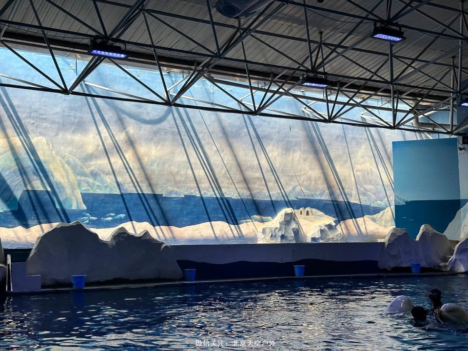 970A4CD3-76C1-4CD3-A6C7-F95A8B7CCD82