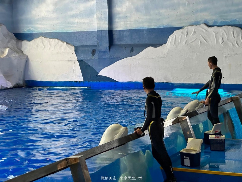 88A9EAB3-9EE7-41EC-BCF2-804E2E8F09EC