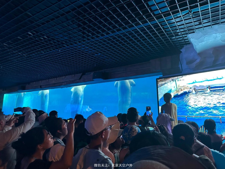 2B157BB9-7D41-4786-8CD9-80B05651AE3B