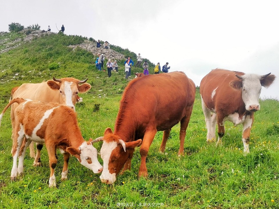 3CDABA1B-B442-4CA4-99C1-EC75AE702015