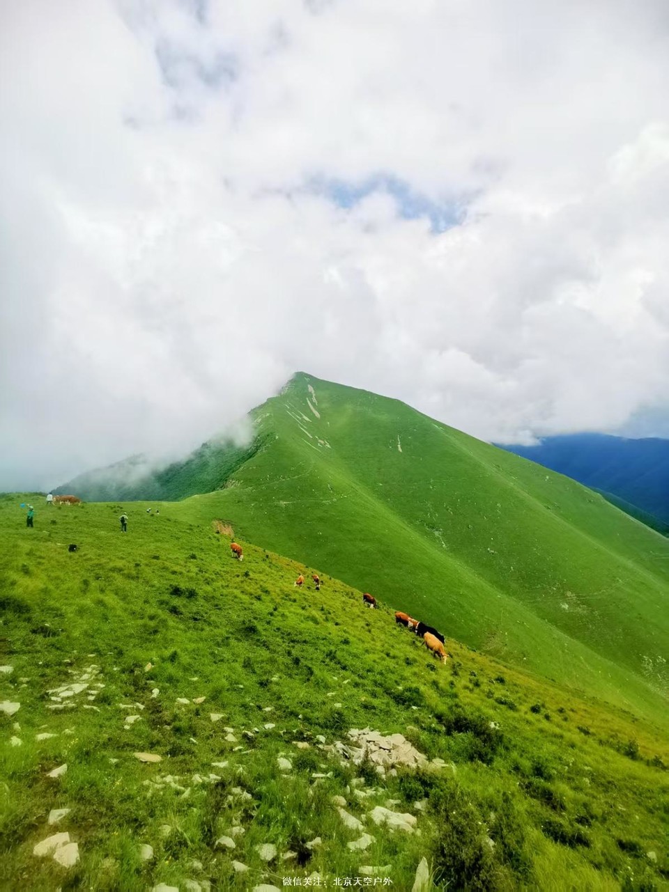 21DC3199-0AED-4860-8702-6D34842EF112