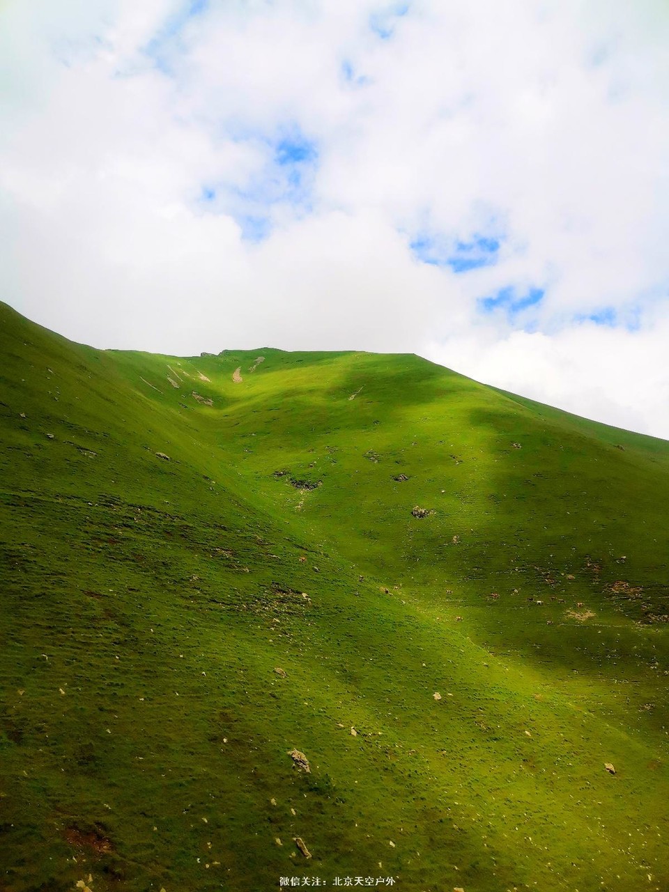 D6FE5102-4D00-440D-A23B-2204CE287279