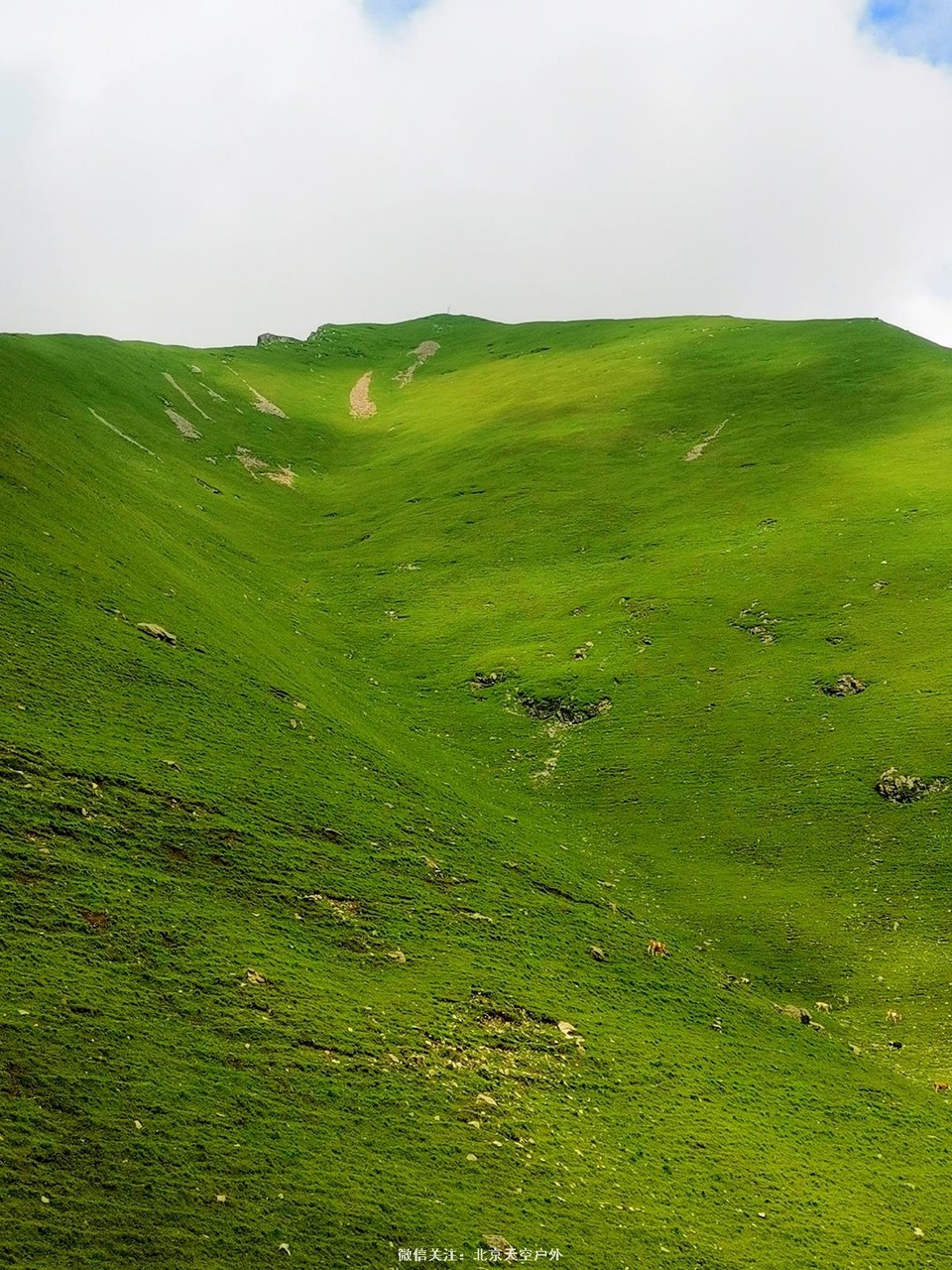 D6241920-C36E-449F-A305-3AC1109F5810