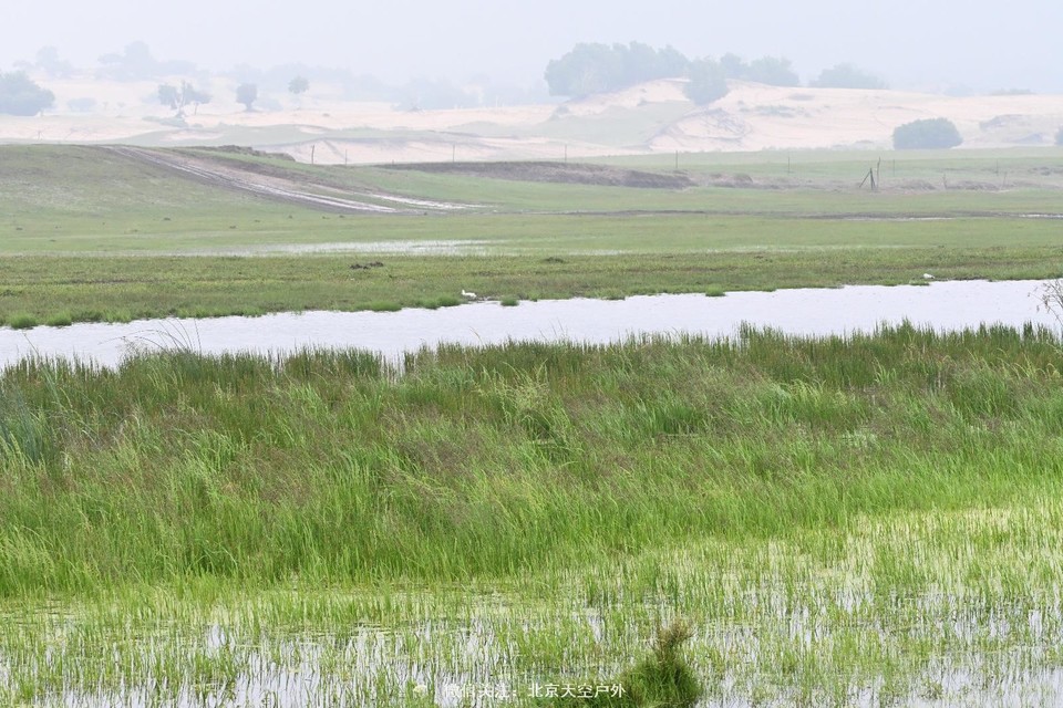 AB7BDF75-556B-40FB-8245-DBCEBF2D65C3