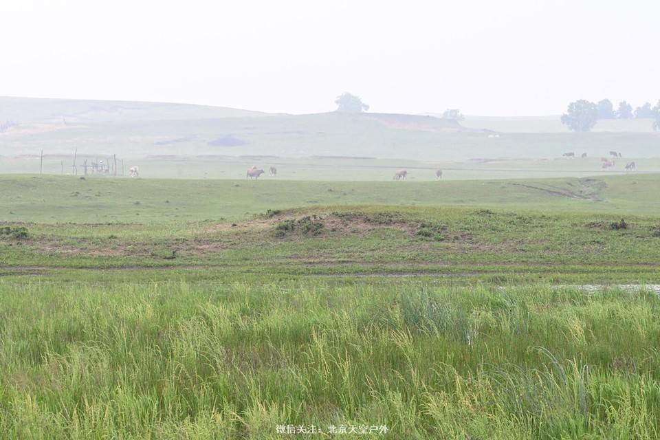 D56DE438-3EBA-41B5-935A-A8026323C967